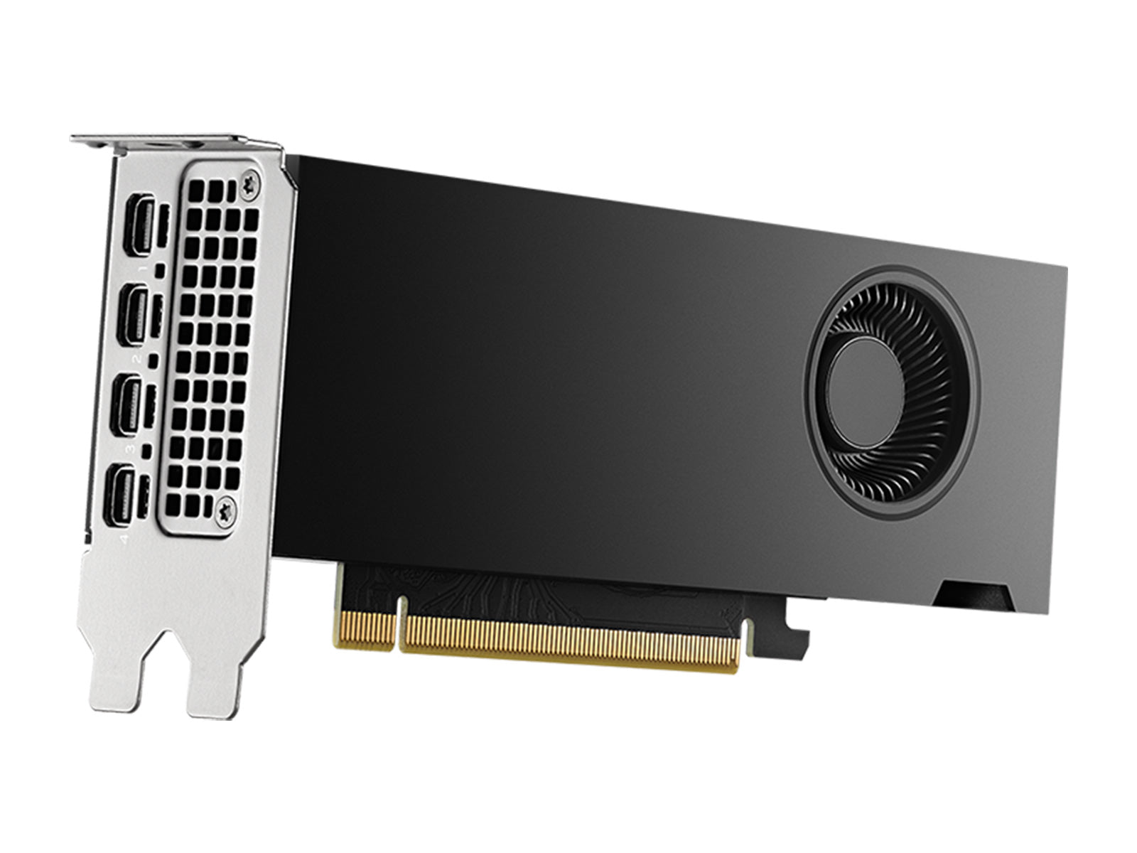 NVIDIA RTX 2000 ADA 16GB grafikkort (PG192B)