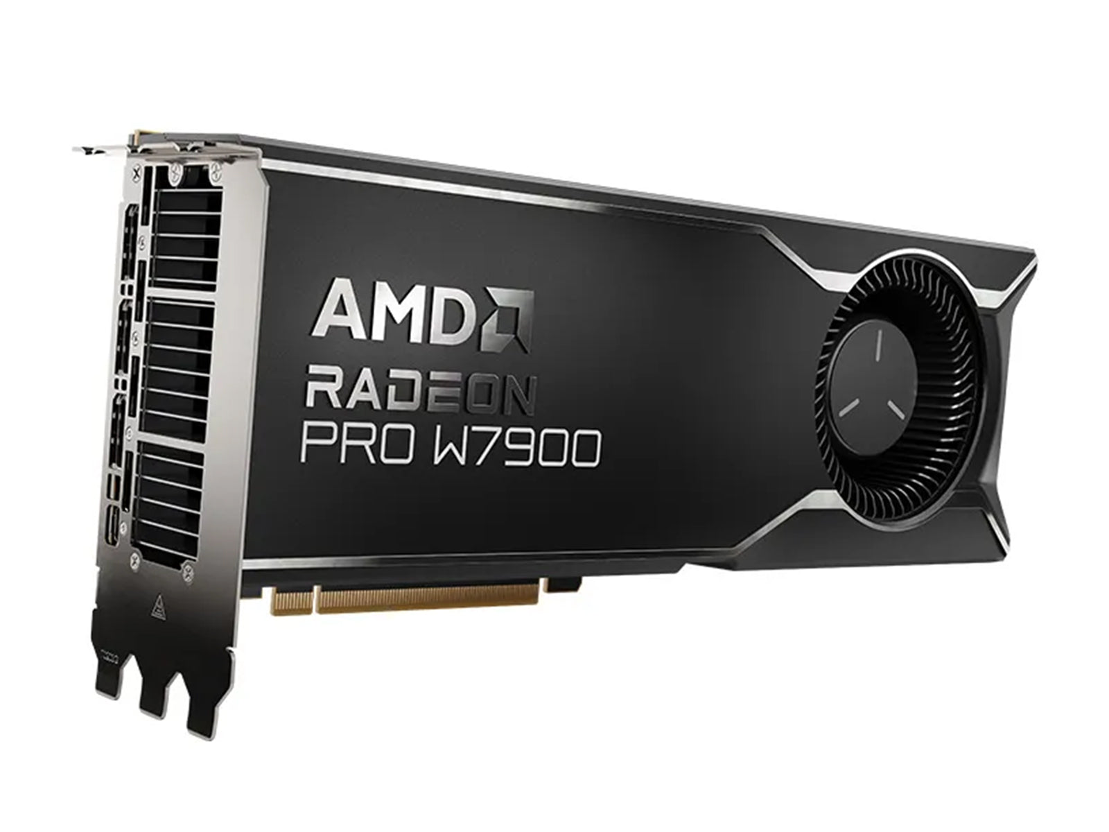 Scheda grafica AMD Radeon Pro W7900 da 48 GB (W7900)