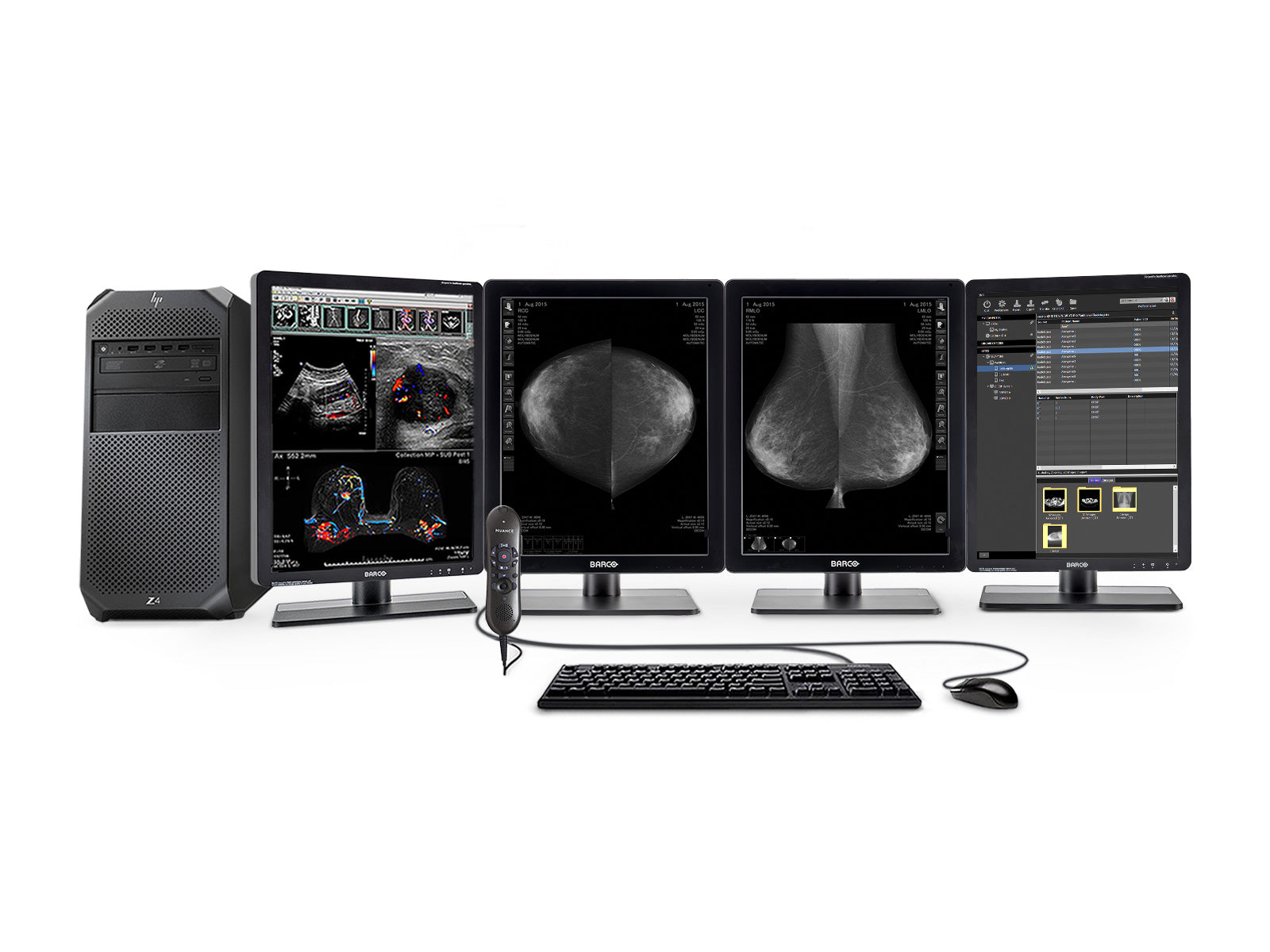 Complete Mammography Reading Station | HP Workstation