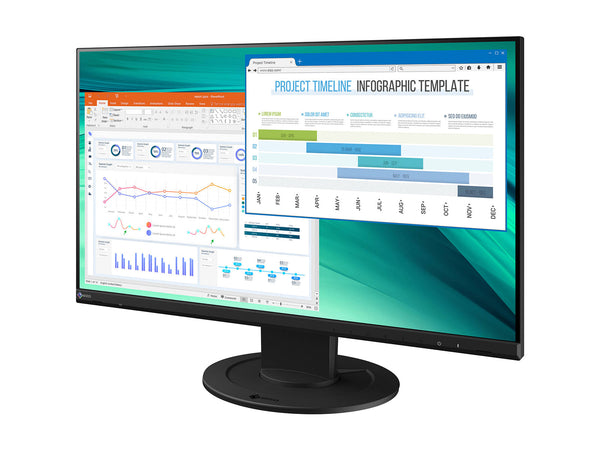 Eizo FlexScan EV2460 FHD 1920 x 1080 24