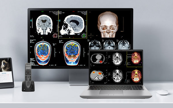 Portable Diagnostic Imaging Workstation for Professionals