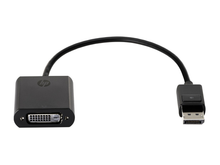 HP DisplayPort-auf-DVI-D-Adapter (FH973AT)