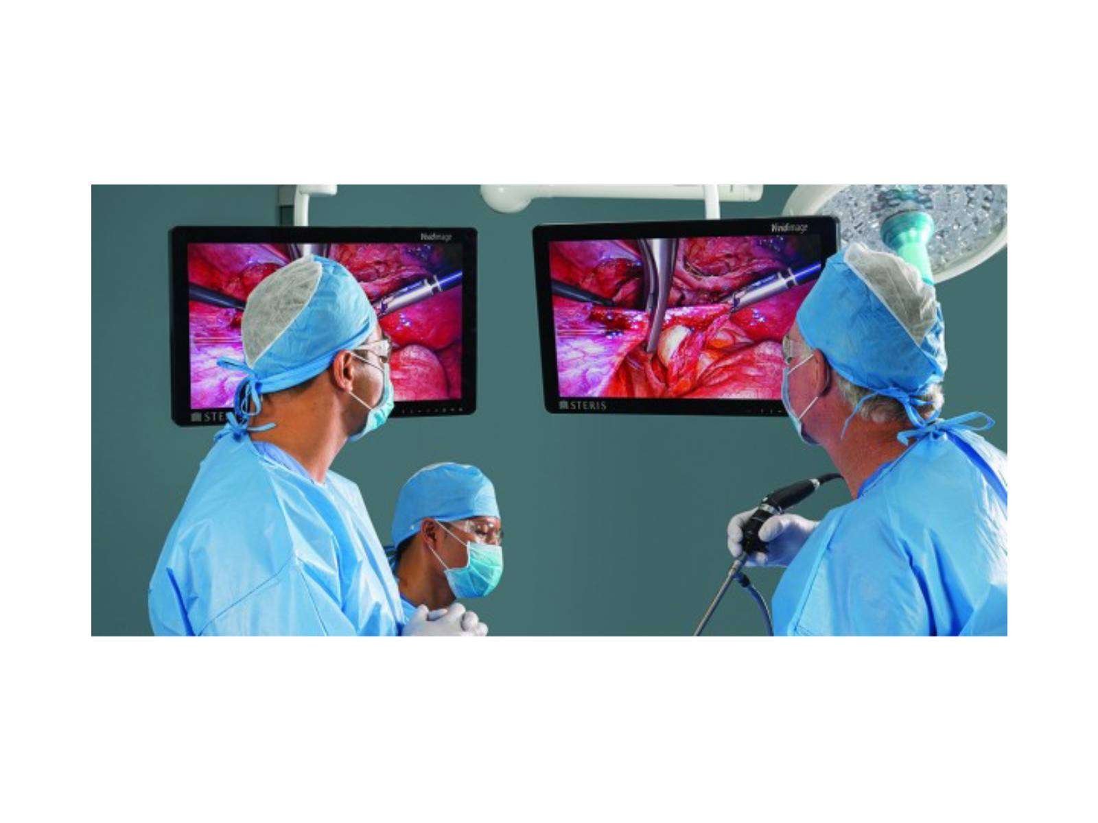 Steris Vividimage RLM314KC 31" 8MP 4K LED Surgical Display Monitor (STERIS-31-4K-R)